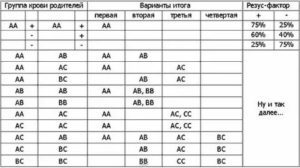 Может ли двойня быть с разной группой крови