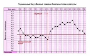 Может ли повышаться температура во время схваток