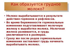 Как формируется грудное молоко у женщин в зависимости от пищи