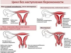 Кто беременел сразу после месячных какие ощущения