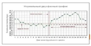 Как запланировать беременность по базальной температуре