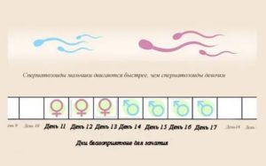 Когда начинать зачатия ребенка после месячных