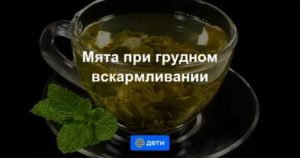 Можно ли после родов пить чай с мятой