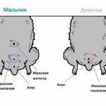 Что делать если грудничок вспотел на улице