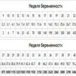 Как правильно заваривать семена подорожника при бесплодии