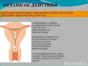 Как проверить эндометрию матки при планировании беременности