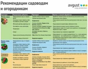 Можно опрыскивать биотлином когда есть плоды