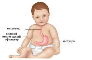 Что делать если у новорожденного стоит желудок