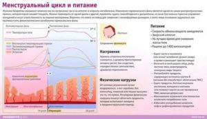 Можно ли восстановить репродуктивную функцию при климаксе