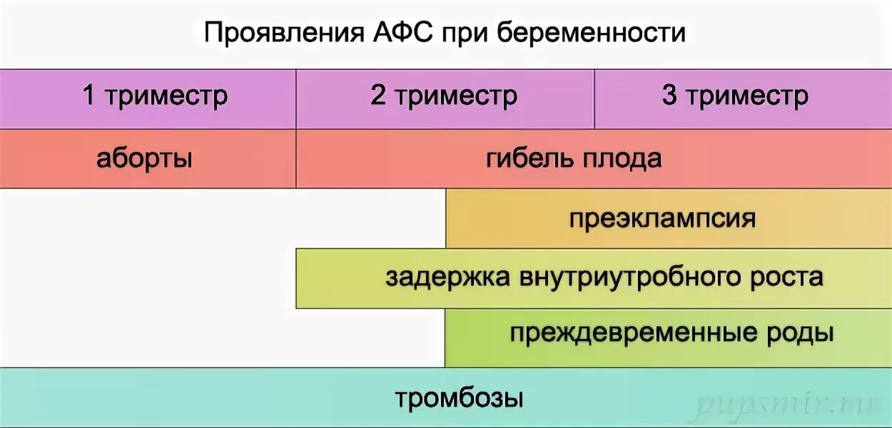 Антифосфолипидный синдром презентация