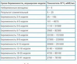 Если 11 недель от зачатия то это какой срок беременности