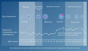 Какая температура тела должна быть после овуляции если произошло зачатие