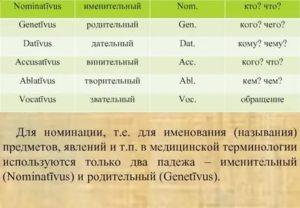 Как на латинском в родительном падеже плоды