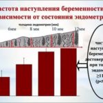 Что можно есть ребенку в 7 месяцев грудничок