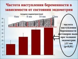 Какой должен быть эндометрий при планировании беременности