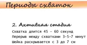 Могут ли тренировочные схватки быть каждые 10 минут