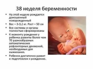 Сколько весят дети рожденные в 38 недель