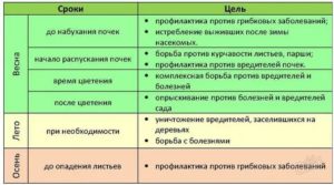 Можно опрыскивать биотлином когда есть плоды