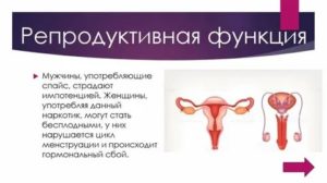 Что такое репродуктивная функция у мужчин