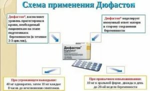 Как принимать дюфастон при планировании беременности при нерегулярном цикле