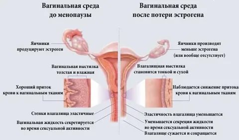 Почему сухо в интимной зоне при возбуждении после родов