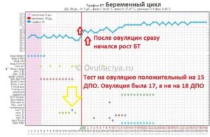 Кто беременел после овуляции на следующий день