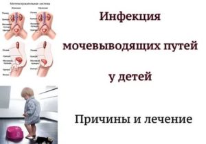 Откуда у грудничков мочеполовая инфекция