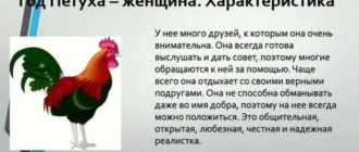 Что ждет рыб в год петуха рожденных в год петуха