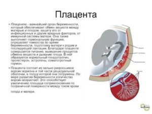 Как плацента защищает ребенка от болезни матери