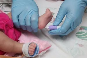 Почему у новорожденных берут кровь именно из пятки