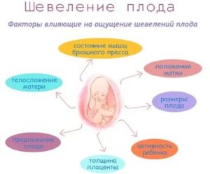 Когда начинается двигательная активность эмбриона