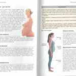 Четвертая неделя беременности от зачатия признаки и ощущения