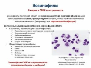 Когда повышены эозинофилы у грудничков