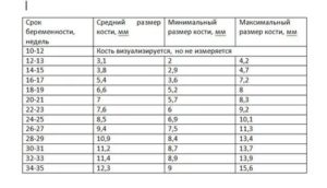 Что такое длина костной части спинки носа у плода