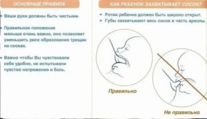 Может ли ребенок срыгивать от переедания грудного молока