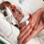 Как развивается ребенок в утробе матери с первых дней зачатия