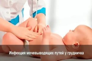 Откуда у новорожденного инфекция мочеполовой системы