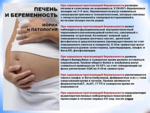 Можно ли беременеть от мужчины больного гепатитом с