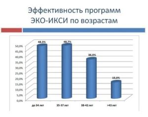 Эко с какого раза получилось забеременеть статистика