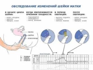 Кто беременел сразу после месячных какие ощущения