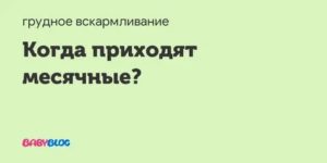 Когда приходят месячные после того как пропадает грудное молоко