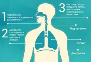 Как остановить икоту у новорожденного ребенка после еды