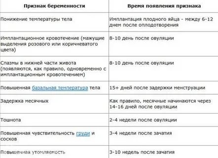 Через сколько дней после зачатия может повыситься температура тела