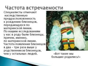 Может ли двойня передаваться по мужской линии