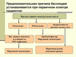 Как понять что ты бесплоден у мужчин в домашних условиях