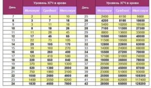 Когда растет хгч после имплантации или после зачатия