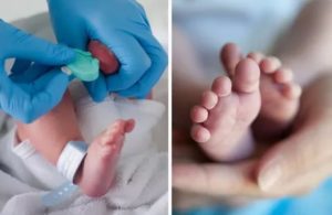 Как берут анализ у новорожденных на наследственные заболевания
