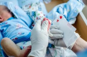 Как берут анализ у новорожденных на наследственные заболевания
