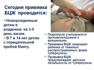 Куда новорожденным делают прививку бцж новорожденным