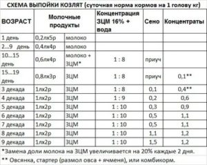 Как развести козье молоко для грудничков с какого возраста можно